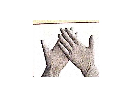 Surgical Gloves